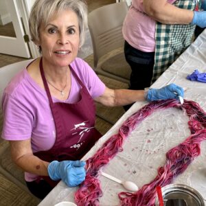 Hand Painting Yarn with Natural Dyes