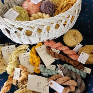 Natural Dyes, Colorful Skeins with Peggy Taylor (Friday morning)