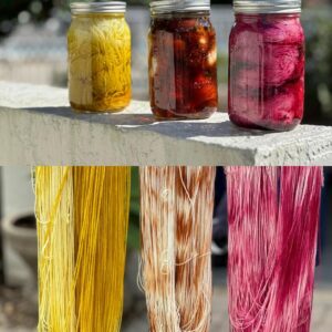 Let’s Solar Dye Together! with Color Me Happy (Saturday morning)