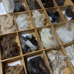 Intro to Fiber and Wool with Justin Near (Friday morning)