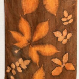 Botanical Printing on Wool with Kate Dolk-Ellis (Saturday afternoon)