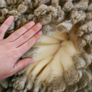 Fiber Detective: Solving the Mystery of Fiber Animals